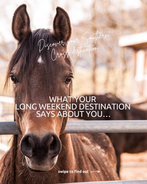16 destinations. One standard of country hospitality.

From coastal escapes to outback adventures, business travel to special occasions, Southern Cross Motel Group welcomes every kind of traveller.

Wherever your journey takes you, feel at home.

southerncrossmotelgroup.com.au