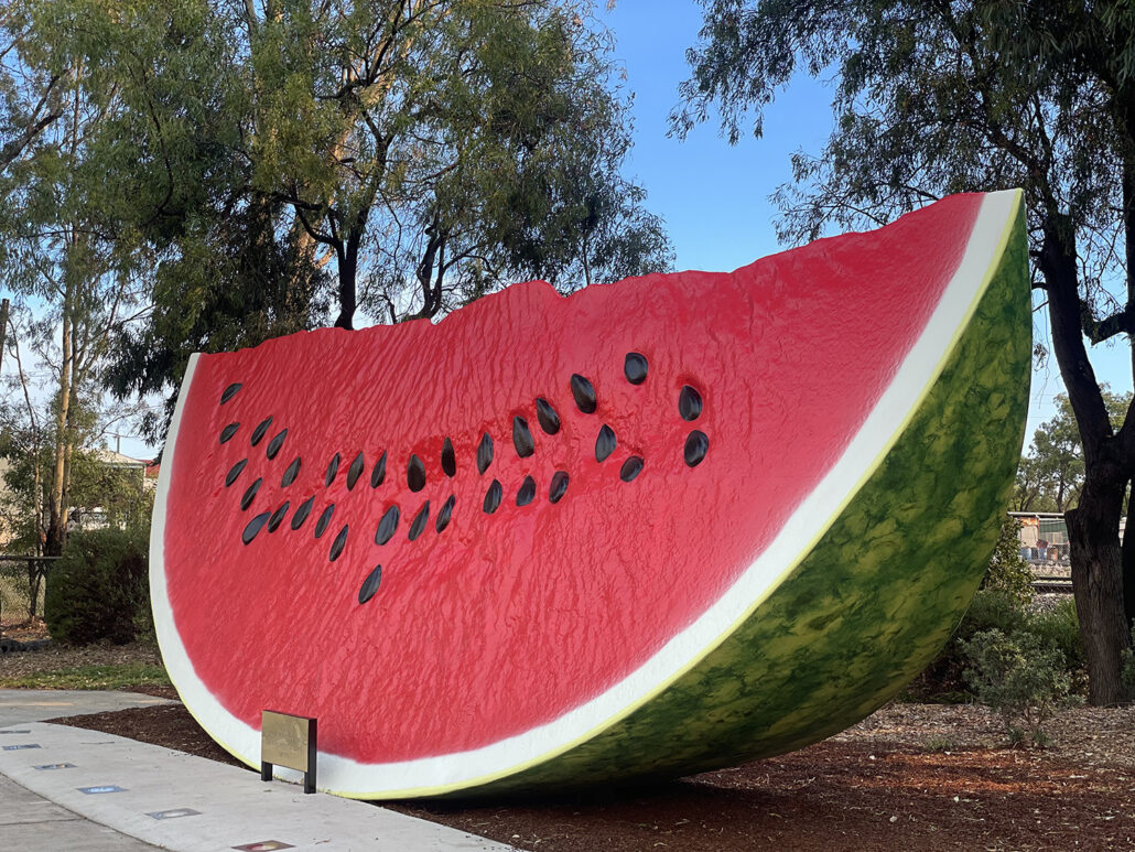 The Big Melon - Chinchilla Watermelon