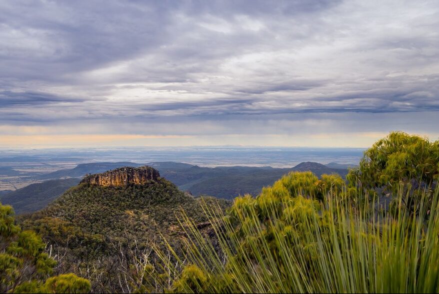 Mount Kaputar National Park
