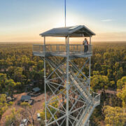 Pilliga Forest Tower Lookout