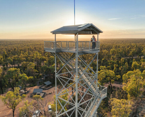 Pilliga Forest Tower Lookout