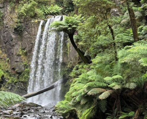 Winter destinations - waterfall Australian rainforest