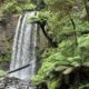 Winter destinations - waterfall Australian rainforest
