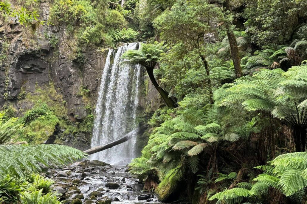 Winter Destinations: Waterfall in Australian Rainforest